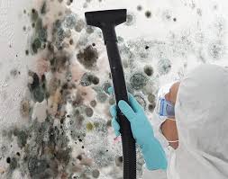  Konterra, MD Mold Inspection Pros